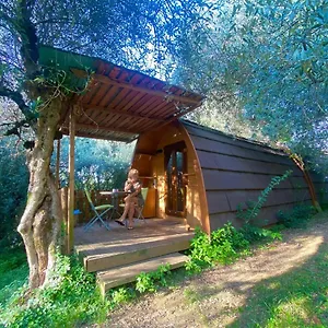 https://rosa-camuna.it-lombardy.com